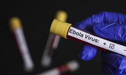 DSÖ’den Ebola görülen ülkelere seyahat ve ticaret kısıtlaması çağrısı