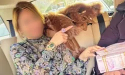 5 hakim' ile savcı açığa alındı eski hakim tutuklandı: Adliyede rüşvet depremi!