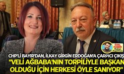 CHP'li Bayır'dan, İlkay Girgin Erdoğan'a çarpıcı çıkış: "Veli Ağbaba'nın torpiliyle başkan olduğu için herkesi öyle sanıyor"