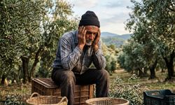 Ege'de zeytin üreticisi kara kara düşünüyor... Alımlardaki düşüş endişe yarattı