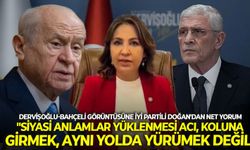 Dervişoğlu-Bahçeli görüntüsüne İYİ Partili Doğan'dan net yorum: "Siyasi anlamlar yüklenmesi acı, koluna girmek aynı yolda yürümek değil"