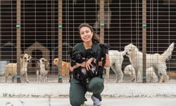 İzmir’de yüzlerce can dost yuva bekliyor! Büyükşehir’den sahiplenme çağrısı