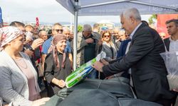 Kemalpaşa’da ölmez ağaca Büyükşehir desteği