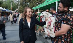 Konak'ta 7. Patilerin Festivali: Onlarca can dost yeni yuvasına kavuştu