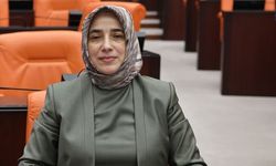 Özlem Zengin: Fon meselesinde yanlış yapanlar hesap verecek