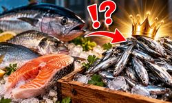 Somonu bile geride bıraktı! İşte protein oranı en yüksek 10 balık