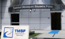 TMSF, Tera Yatırım Teknoloji Holding’e kayyum olarak atandı