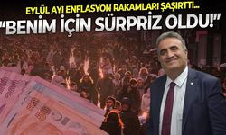 Eski TCMB Uzmanı Dr. Ayhan Bülent Toptaş TÜİK'in Eylül ayı enflasyon verilerini, ''Biraz sürpriz oldu'' sözleriyle değerlendirdi
