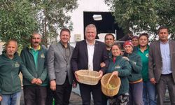 Urla’da Zeytin ve Sanat Festivali başlıyor! Tarlada hasat, meydanda sanat…