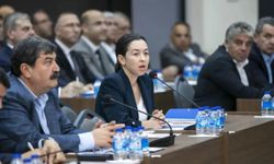 Gülşah Yıldırım Genç kimdir, nereli, kaç yaşında? Mersin Büyükşehir Belediyesi yeni başkanvekili kaç oyla seçildi?