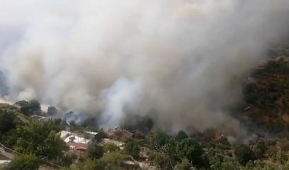 Mersin'deki orman yangınında son durum!