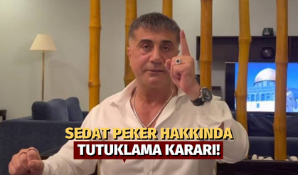 Sedat Peker'e tutuklama kararı!