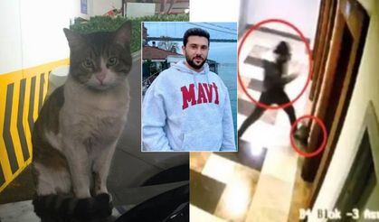 Başakşehir'de Kedi Eros'u Öldüren Sanığa Verilen Cezaya İtiraz!