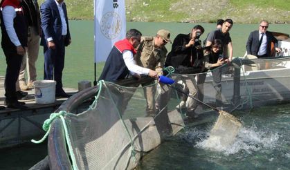 Şırnak’ta yeni istihdam kapısı mı açıldı? Kafeslerden 30 ton balık hasat edildi