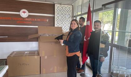 Samsun'da kahverengi kokarcayla mücadelede önemli adım: 250 hunili tuzak dağıtıldı!