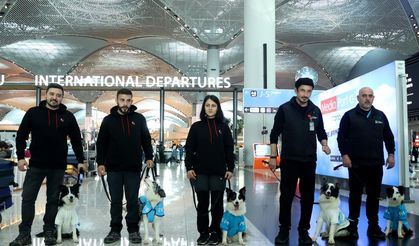 Karşınızda ilk terapi köpekleri Alita, Kuki, Moka, Hektor ve Liza… Stres yaşayan yolcuları sakinleştiriyorlar