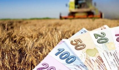 Müjde! Tarımsal destekleme ödemeleri hesaplara aktarılıyor