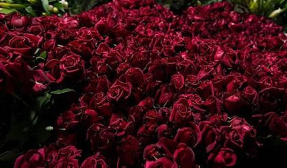 İzmir'de Sevgililer Günü'nde bir demet gülün fiyatı ne kadar?