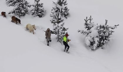 Artvin’de kar altında mahsur kalan atlar kurtarıldı: Köyün gençleri 10 saatlik operasyonla hayvanlara ulaştı
