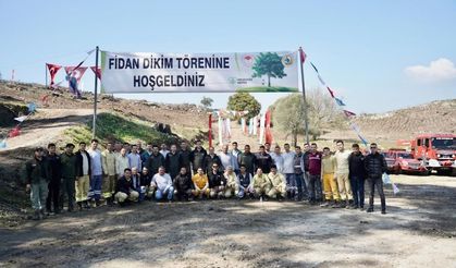 Milas’ta yanan ormanlar yeniden yeşeriyor: Binlerce fidan toprakla buluştu