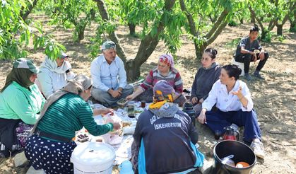 Efes Selçuk'ta Başkan Sengel'den 14 Mayıs Dünya Çiftçiler Günü mesaisi: Hasada katıldı