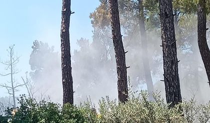 Alevler Bayındır’ı kuşattı: Havadan ve karadan dev müdahale!