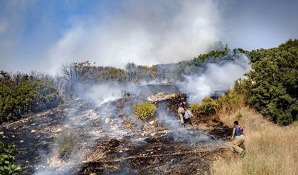 İzmir Aliağa'da orman yangını! Ekipler 15 dakikada tamamen söndürdü