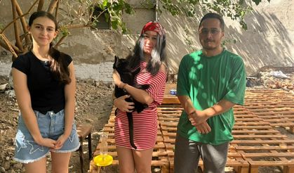 Çöp arsayı 'Kedi Mahallesi' yaptılar: 13 yaşındaki Bade ABD'den fikir aldı