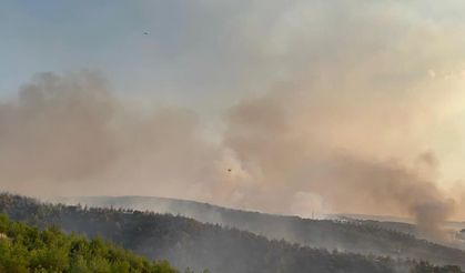 Manisa Kula’daki orman yangını 8 saatte kontrol altına alındı!
