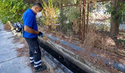 Yaz sezonu kapanırken İzmirlilere sivrisinek uyarısı: "Bir damla su bile üreme alanı olabilir"