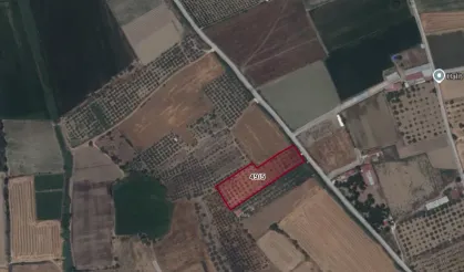 Tire'de şahıs arazisinden çıkan Bizans buluntuları sonrası sit kararı!