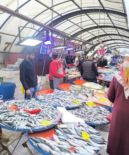 Nisan ayının en sağlıklı balıkları açıklandı! İstavrit ve hamsi artık satılmayacak