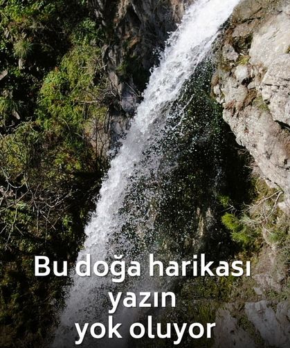 Görmek için acele edin! İzmir’deki bu doğa harikası yazın yok oluyor