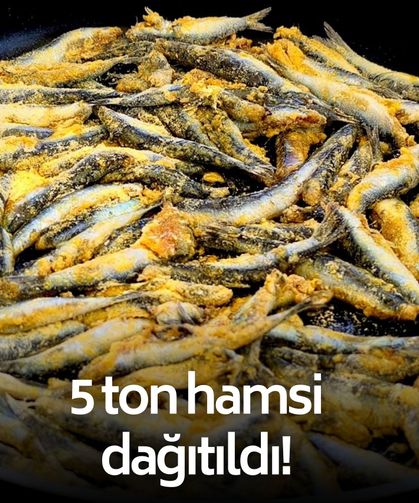 Muğla’da hamsi şöleni! 5 ton hamsi vatandaşlarla buluştu