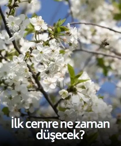 Kısa bir zaman kaldı! İlk cemre ne zaman düşecek? 2026