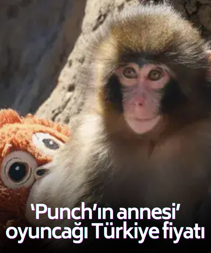 "Punch'ın annesi" olarak bilinen peluş maymun oyuncak Türkiye'de satışa çıkarıldı!