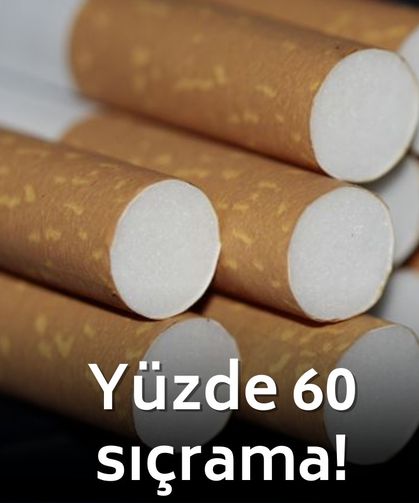 Yüzde 60'lık sıçrama! Bakan Memişoğlu duyurdu: Sigara Bırakma polikliniklerine akın edildi