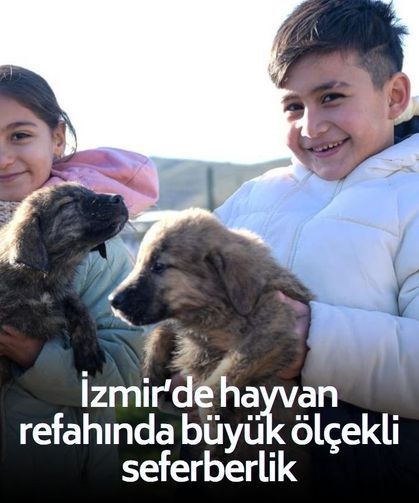 İzmir’de hayvan refahında büyük ölçekli seferberlik: Rakamlar dikkat çekti