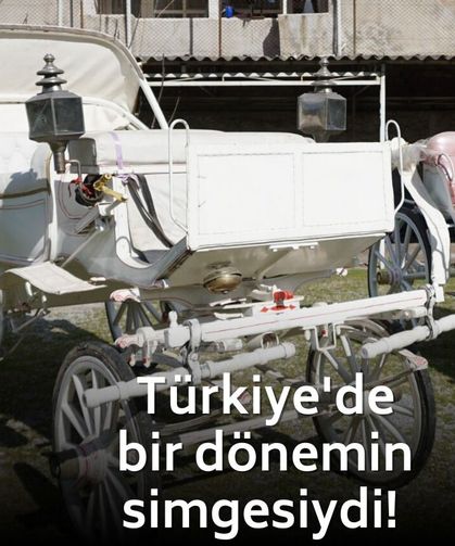 Türkiye'de bir dönemin simgesiydi! Usta yetişmediği için yok oluyor!