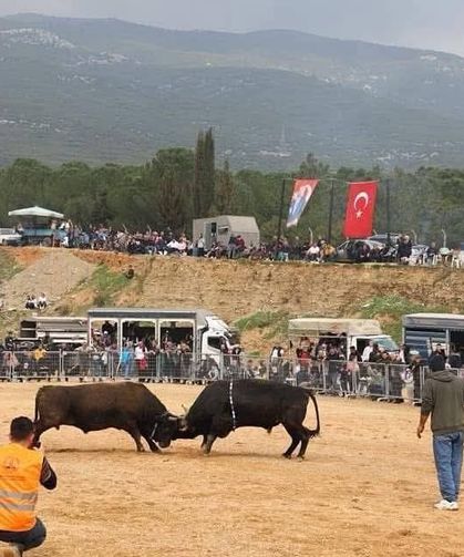 İzmir Kemalpaşa'da beklenen festival için geri sayım başladı