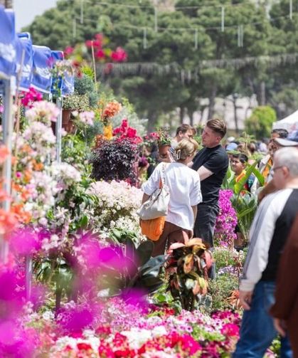 İzmir'de üçüncü kez açılan Balkon ve Bahçe Bitkileri Festivali renki anlara sahne oldu
