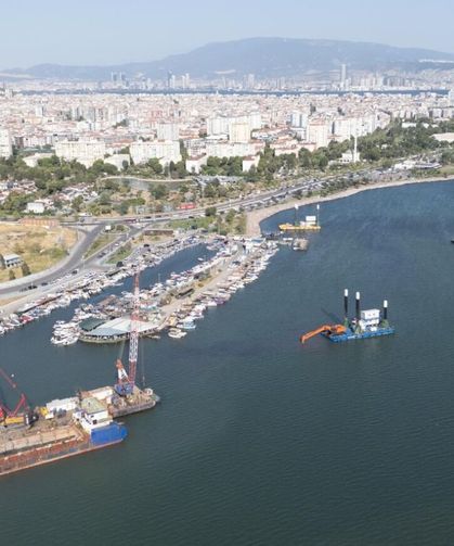 Balıkçılar gözlerine inanamadı! İzmir Körfezi'nde 25 yıl sonra yeniden ortaya çıktı