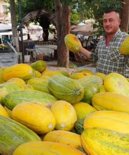 Bal gibi tadı tavan arasından çıktı! Manisa'dan İzmir'e uzanan eşsiz Altınbaş Kavunu hikayesi