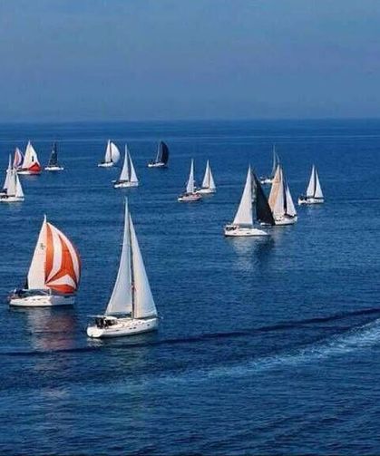 Foça’da zafer rüzgârı: 120 yelkenci Atatürk’ü denizden selamladı!