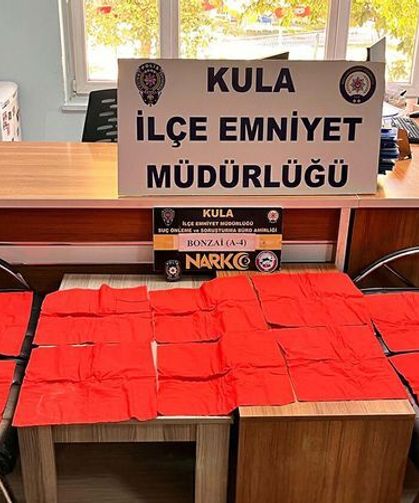 Kula’da 65 bin içimlik bonzai ele geçirildi