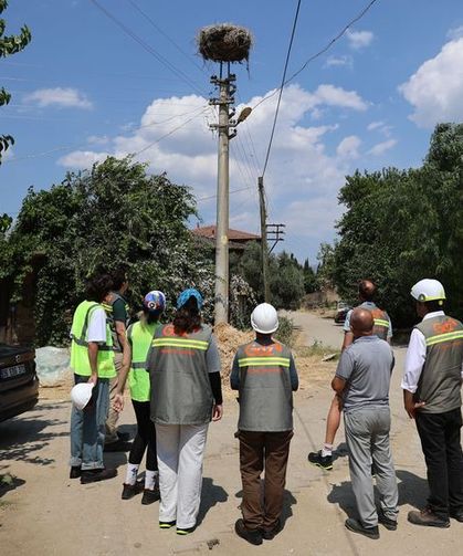 ADM ve GDZ Elektrik’ten göçmen kuşlar için yeni koruma hamlesi