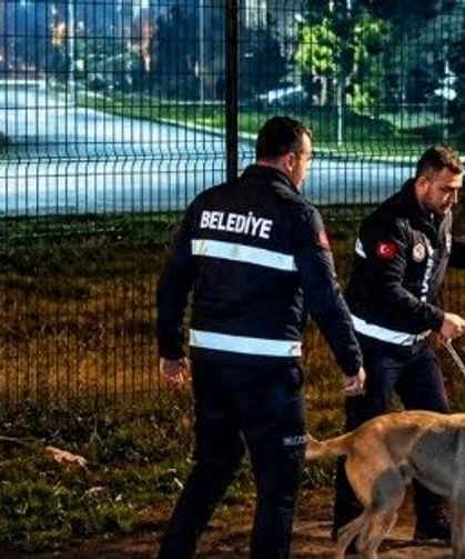Ege Üniversitesi Kampüsü'ndeki köpeklerin toplanmasına Almanya'da itiraz var! Erasmus bile tehlikeye girebilir