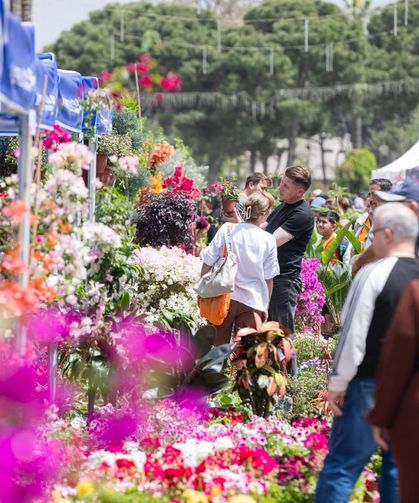 İzmir’de şehrin kalbinde çiçek ve bal festivali başlıyor! Tarih ve program açıklandı