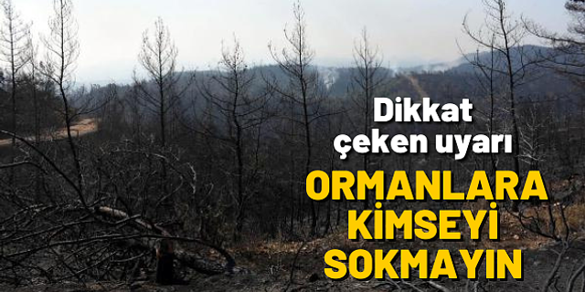 Prof. Dr. Yaşar: Kurak geçen kışın ardından orman yangını sayısı ciddi artıyor