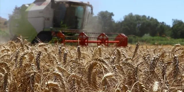 Tarımsal destekleme ödemeleri bugün çiftçilerin hesaplarına aktarılacak